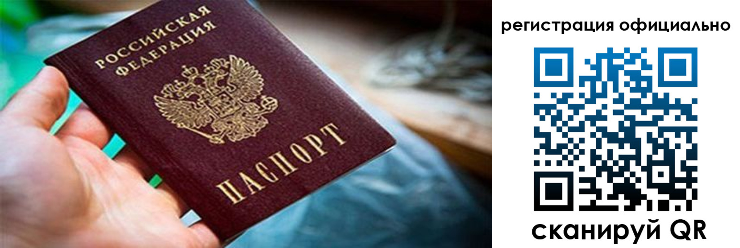 найти адрес прописки в Снежногорске